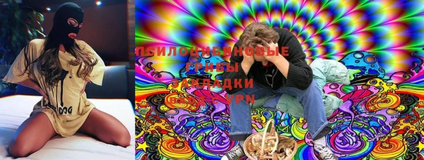 индика Абдулино