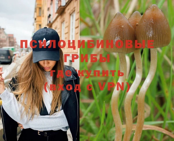 мет Алзамай