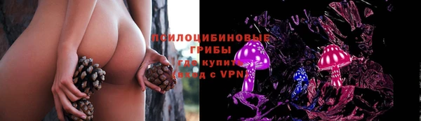 скорость Алексеевка