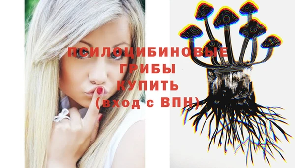 мет Абаза