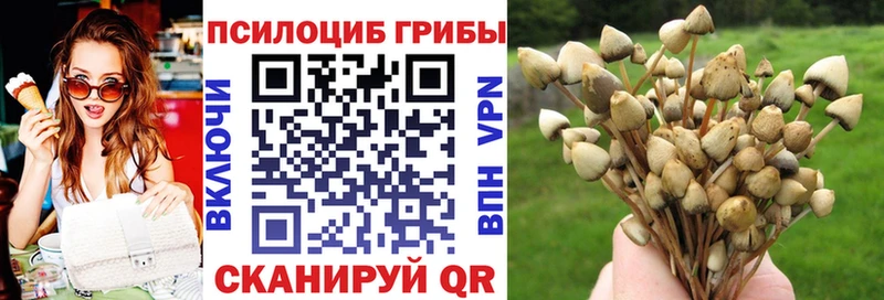 Псилоцибиновые грибы MAGIC MUSHROOMS  Магнитогорск 